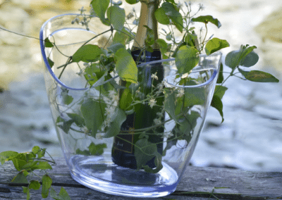 vasque à champagne transparente